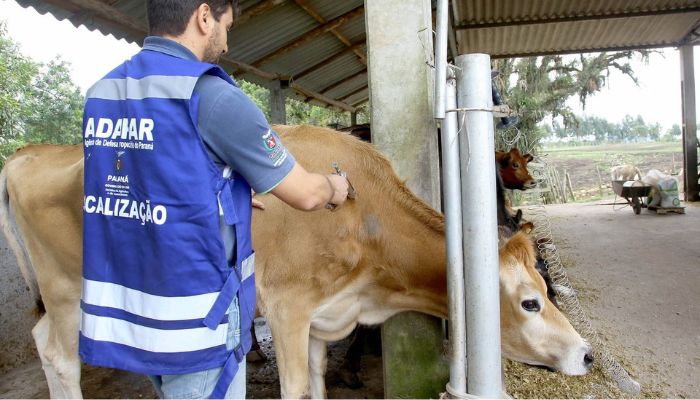  Adapar mantém vigilância e reforça importância da vacinação contra raiva no campo